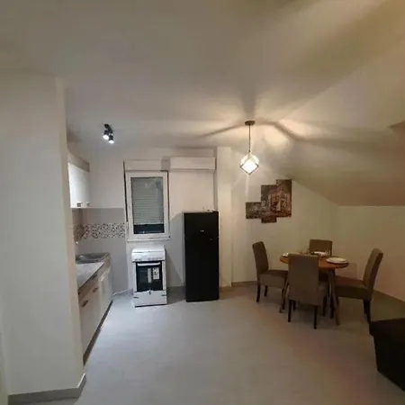 Banja Vrujci Apartment Mionica