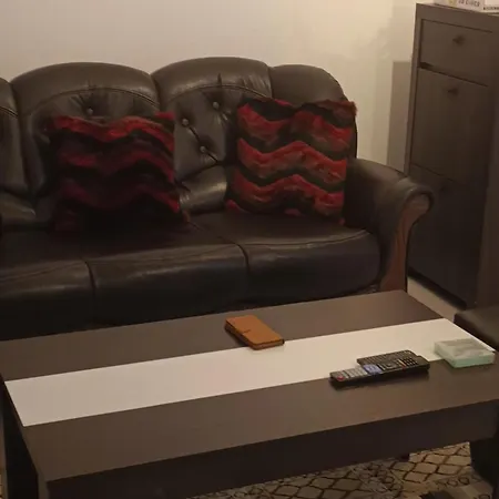 Apartment Banja Vrujci Mionica